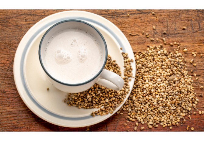 Lapte vegan de canepa decorticata